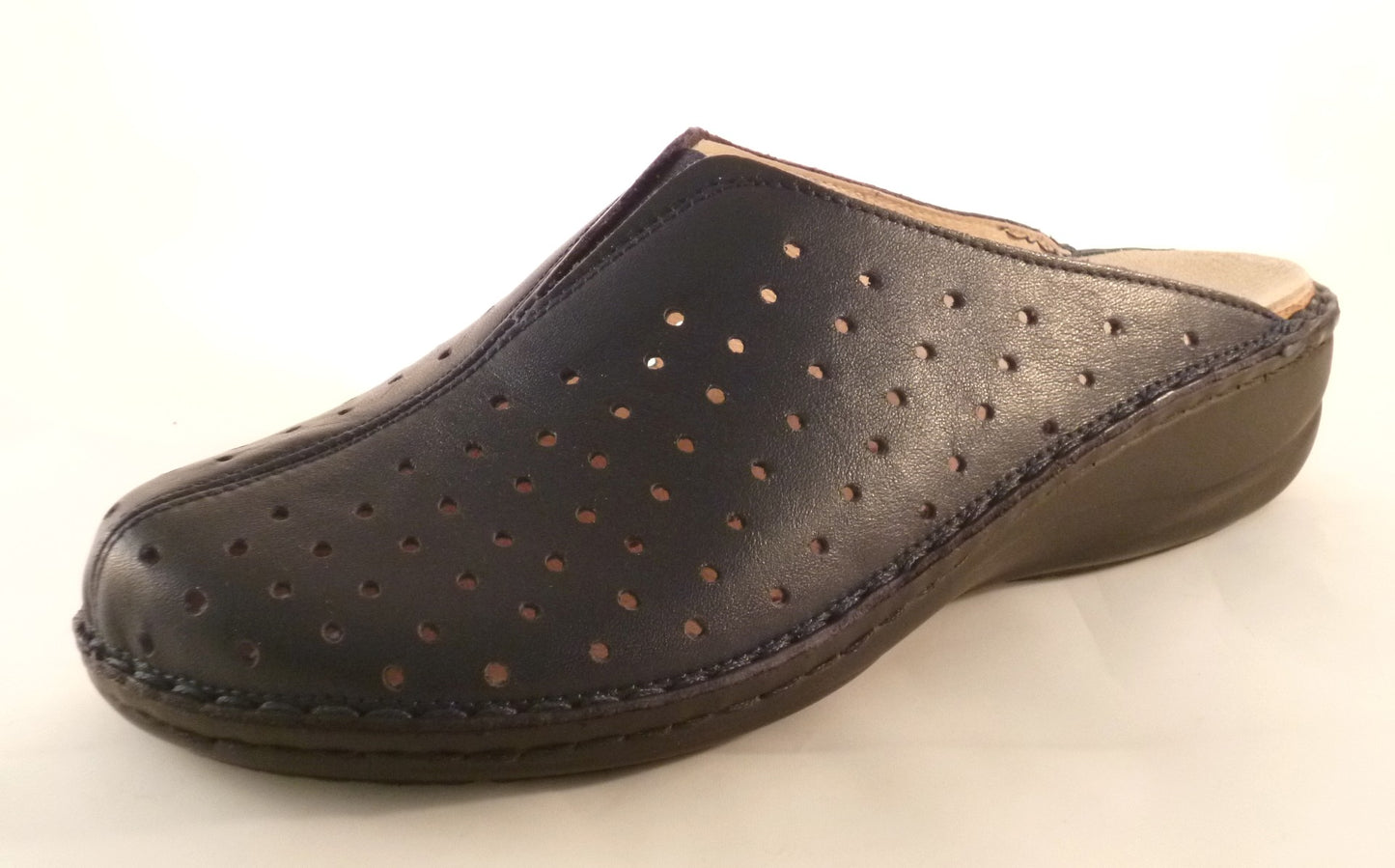 CE0096 BLUX