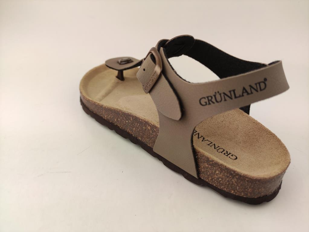 SB0215 TORTORAX_1_P