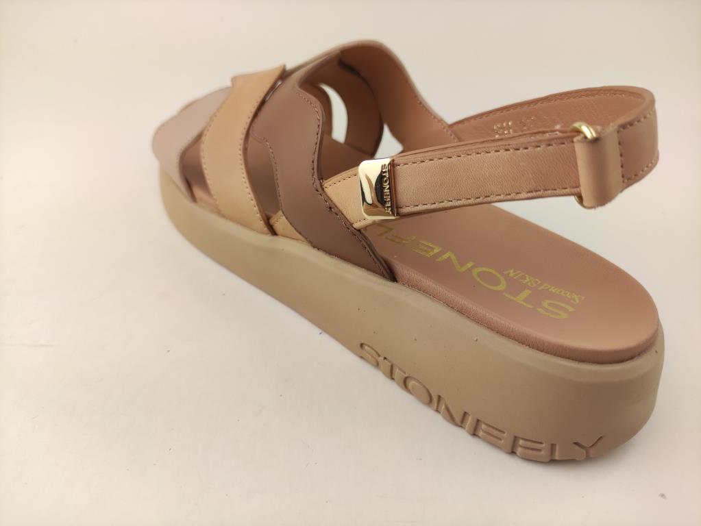 222319 BROWN HUMUS X_1_D