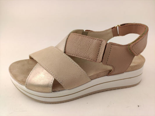 7675511 TAUPE PLATINOX