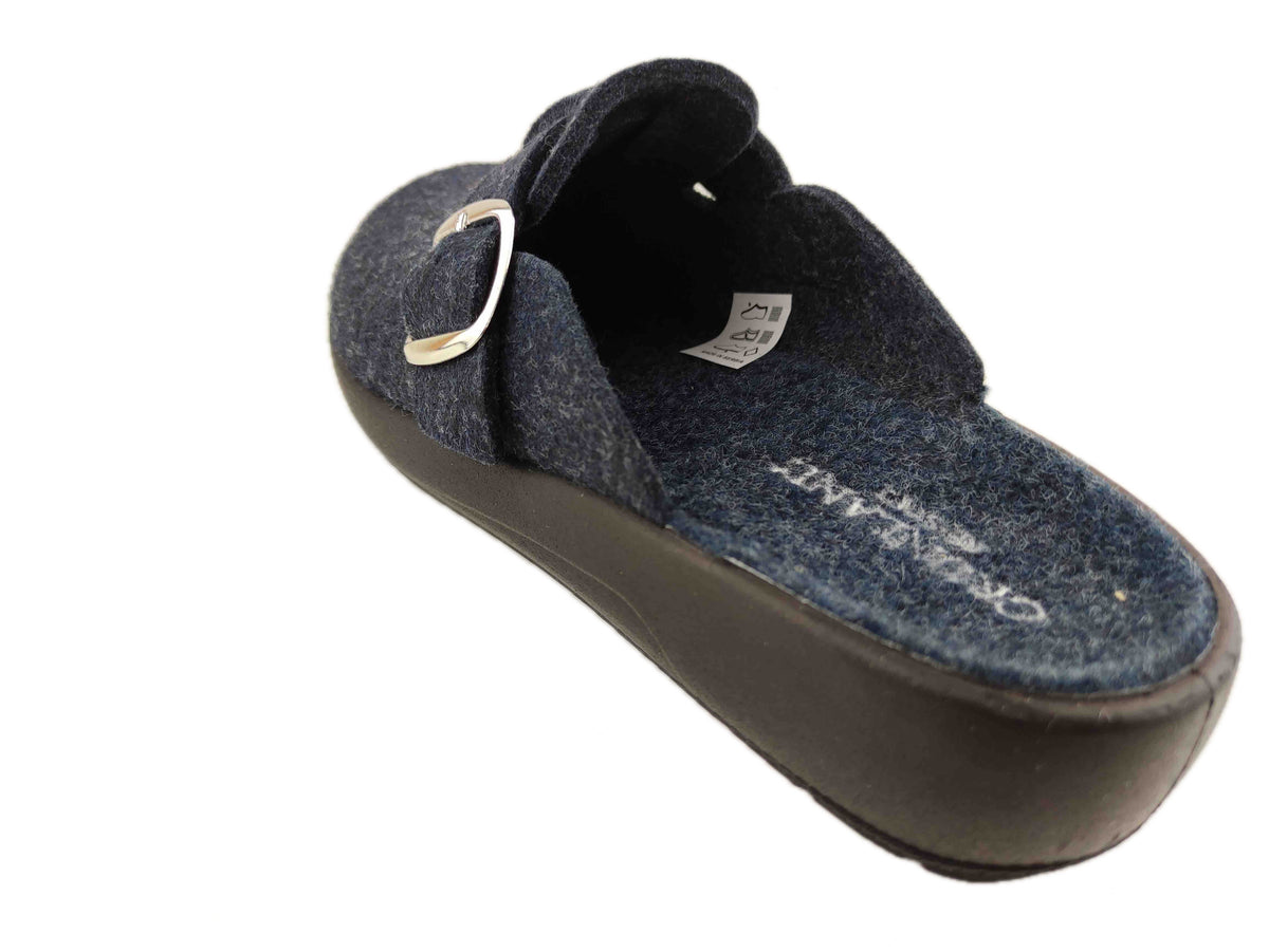 CI2961 BLUX_1_P