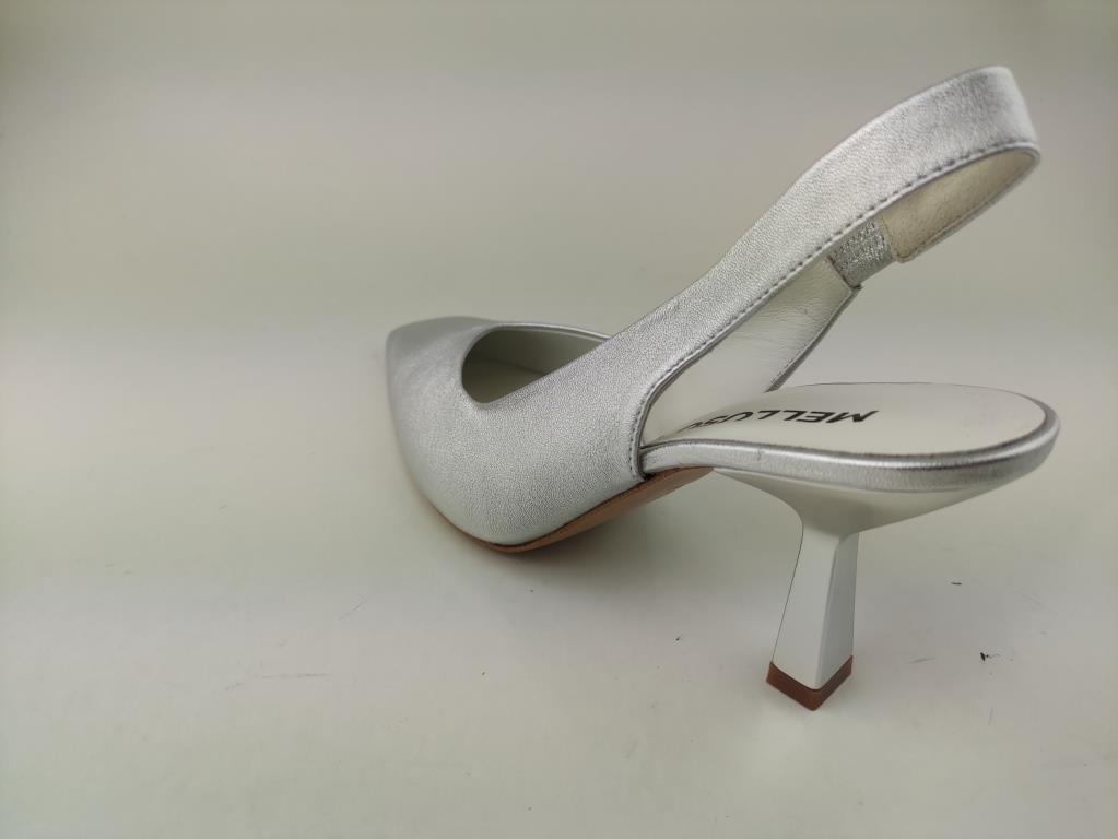 D193 WASH ARGENTOX_1_P