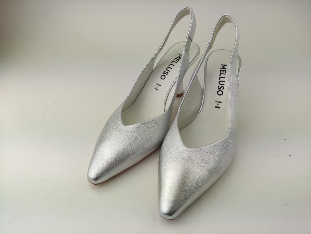 D193 WASH ARGENTOX_2_P