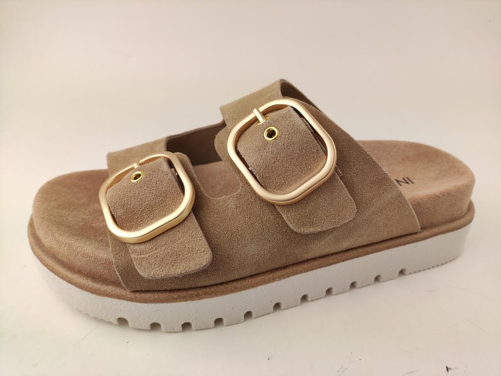 D53028 MUSH ROOMX