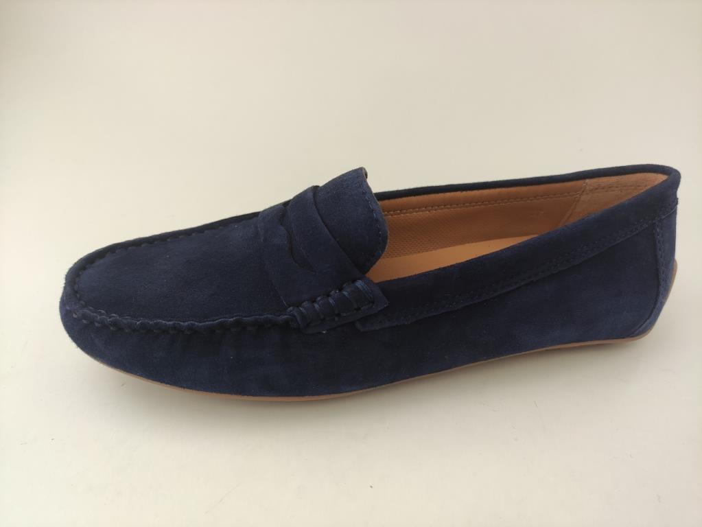 DS25F0518 CAM NAVYX
