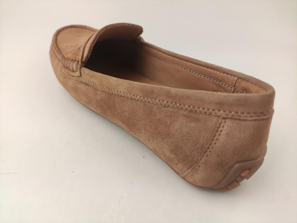 DS25F0518 CAM TERRAX_1_P